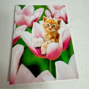 4 Avanti Greeting cards- cat kitten with bunny ears in flower
Holiday: Easter
